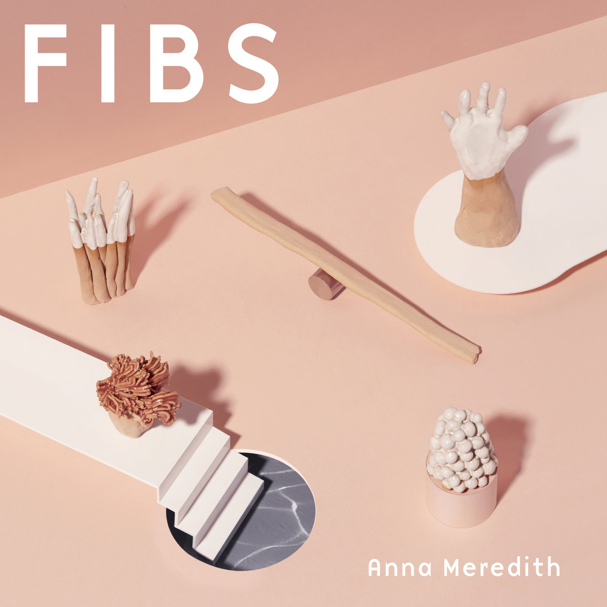 Fibs album sleeve